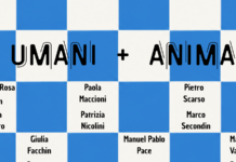 “Più umani più animali”, a Vicenza la mostra collettiva che mette in dialogo le specie mostra Più umani più animali a Vicenza