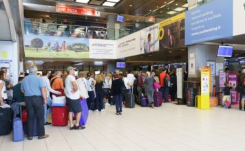 Specie protette, sequestri all’aeroporto di Verona: coralli e pelli di pitone nei bagagli Specie protette aeroporto Verona, terminal passeggeri dello scalo